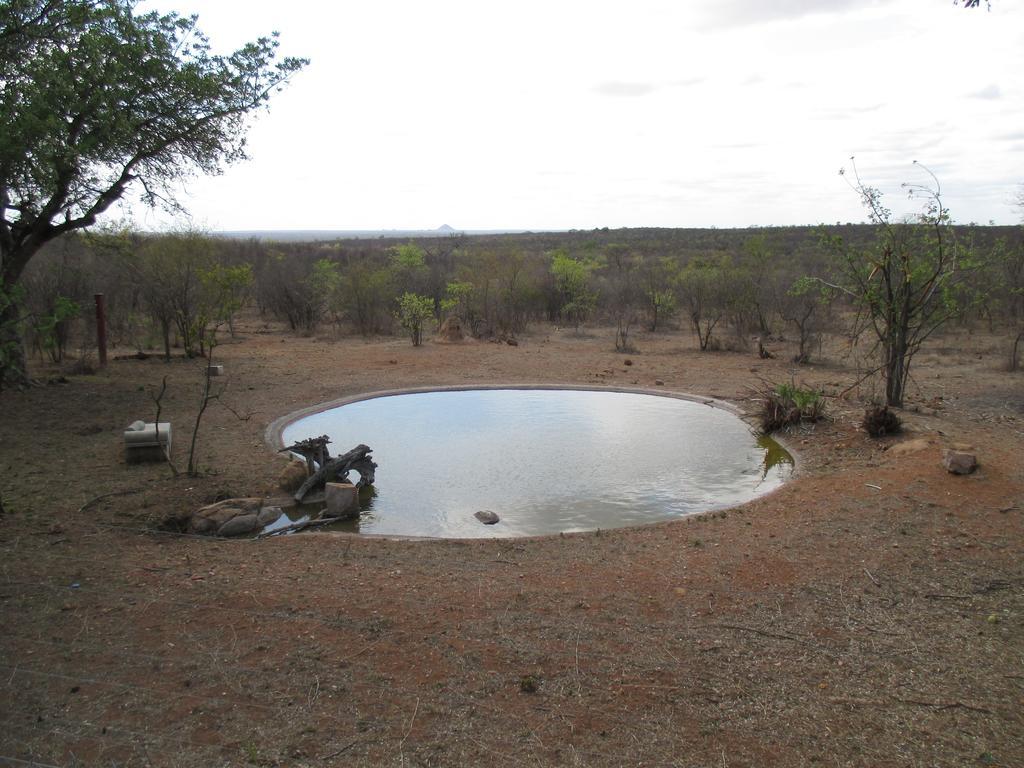 Tingala Lodge - Bed In The Bush Phalaborwa Eksteriør billede
